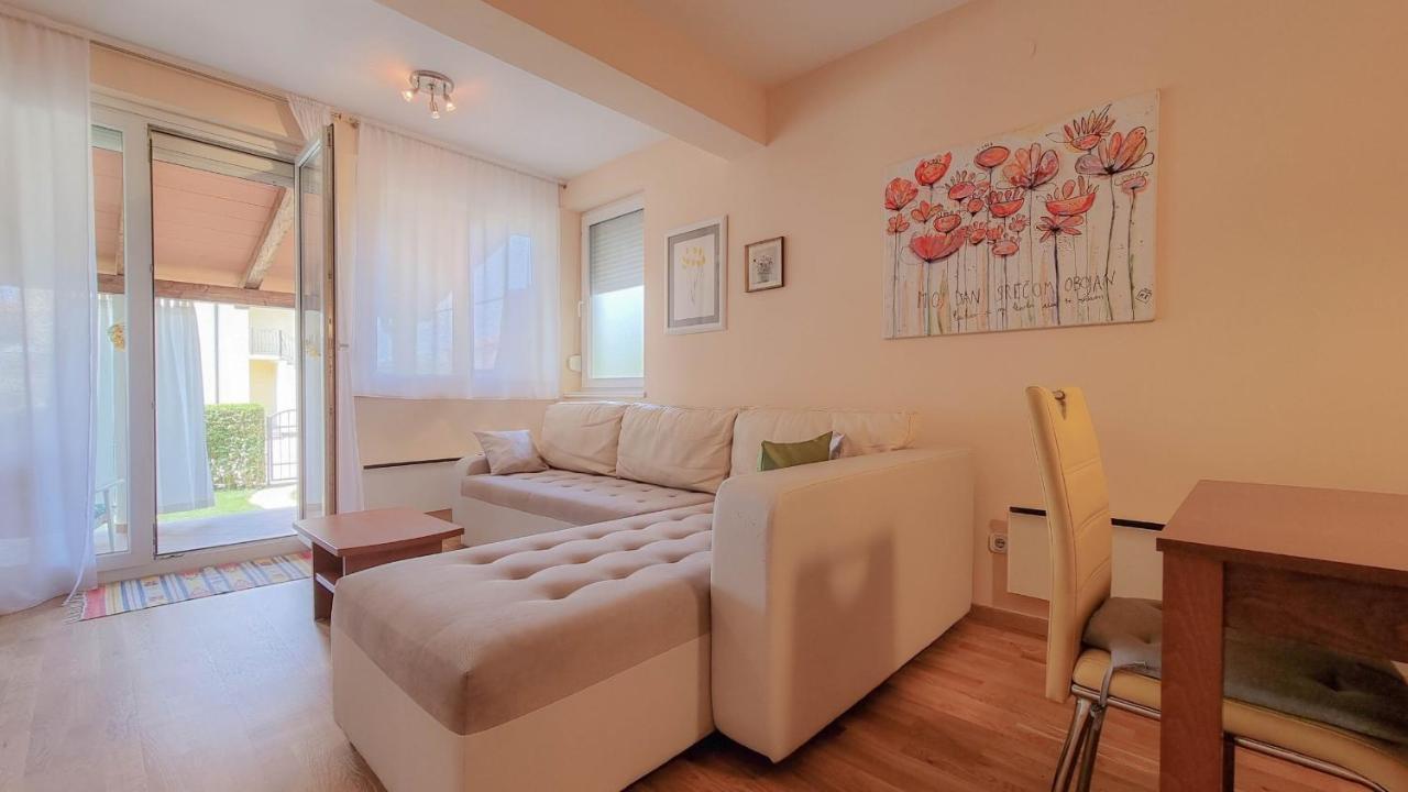 Roko Apartment Novigrad  Exterior photo